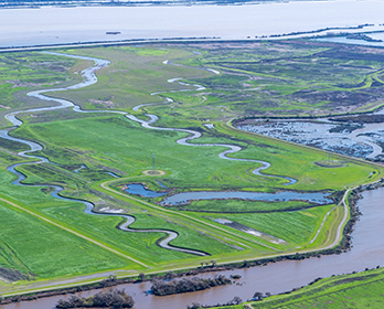 An aerial view of the Lookout Slough Tidal Habitat Restoration and Flood Improvement Project in Solano County.