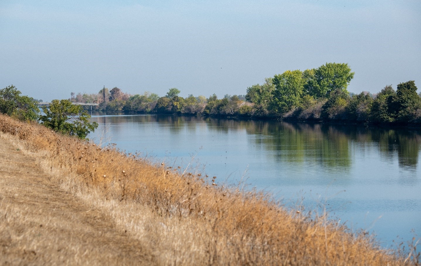 View of the Sacramento River from a dry riverbank.